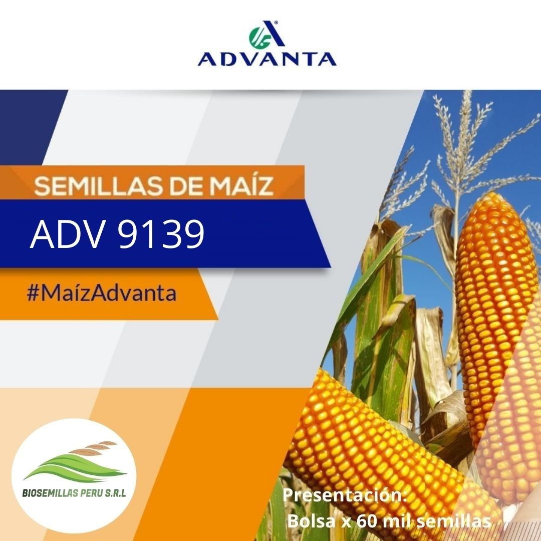 MAIZ ADVANTA 9139 - BIOSEMILLAS PERÚ semillas maiz advanta 9139-